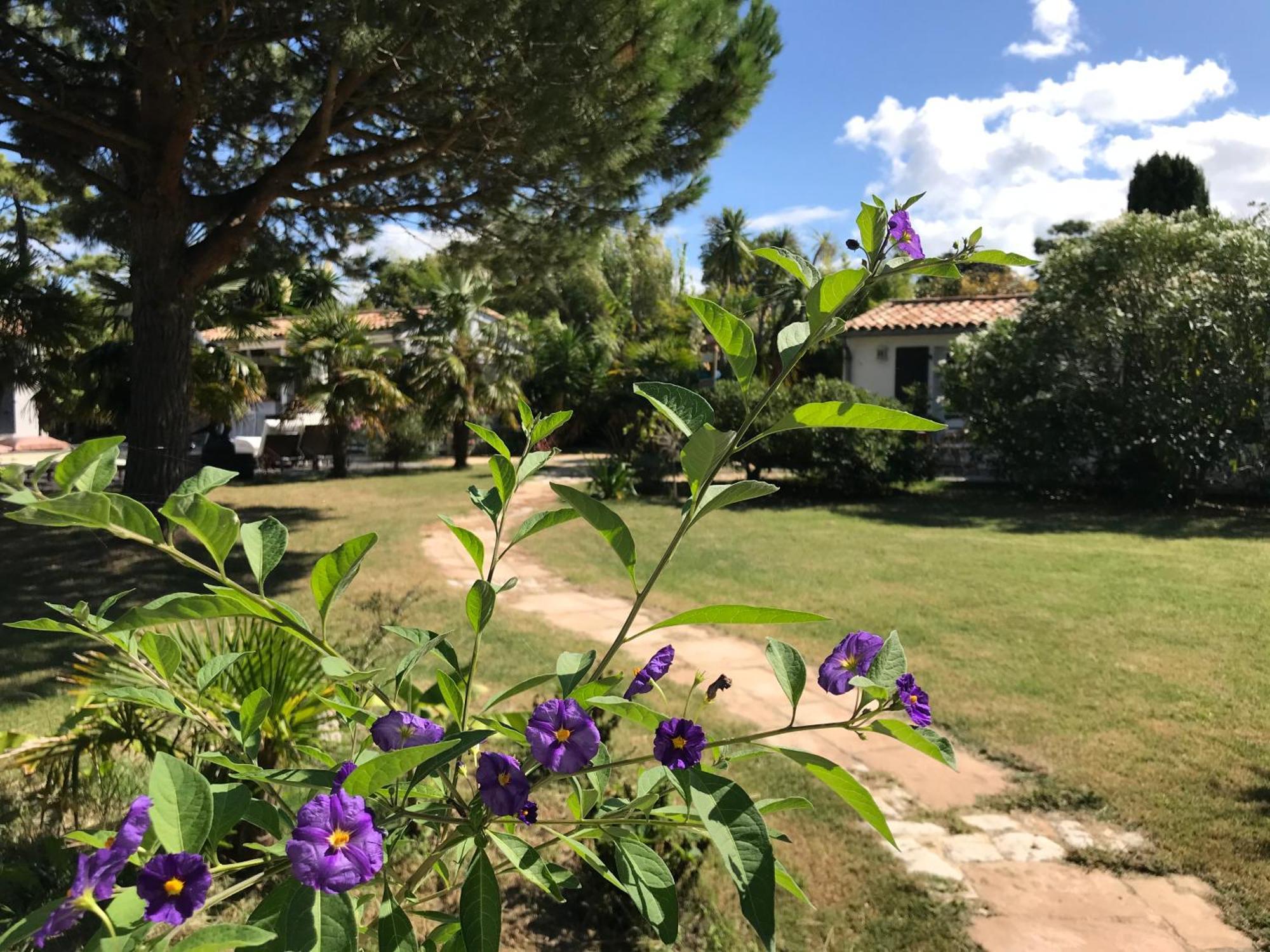 Le Jardin Des Portes Acomodação com café da manhã Les Portes-en-Re Exterior foto