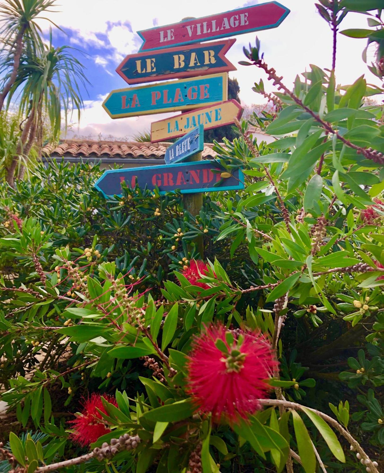 Le Jardin Des Portes Acomodação com café da manhã Les Portes-en-Re Exterior foto