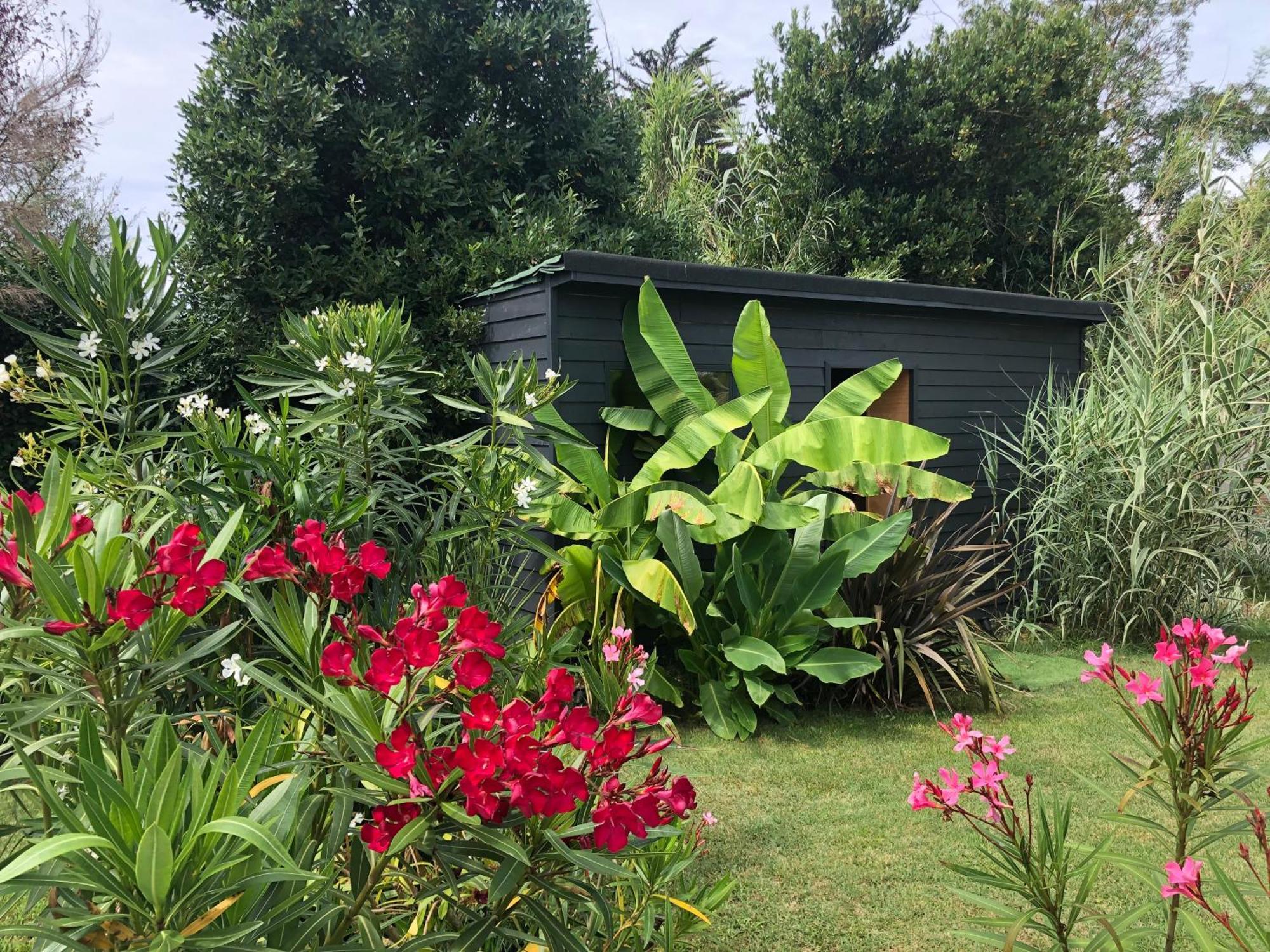 Le Jardin Des Portes Acomodação com café da manhã Les Portes-en-Re Exterior foto