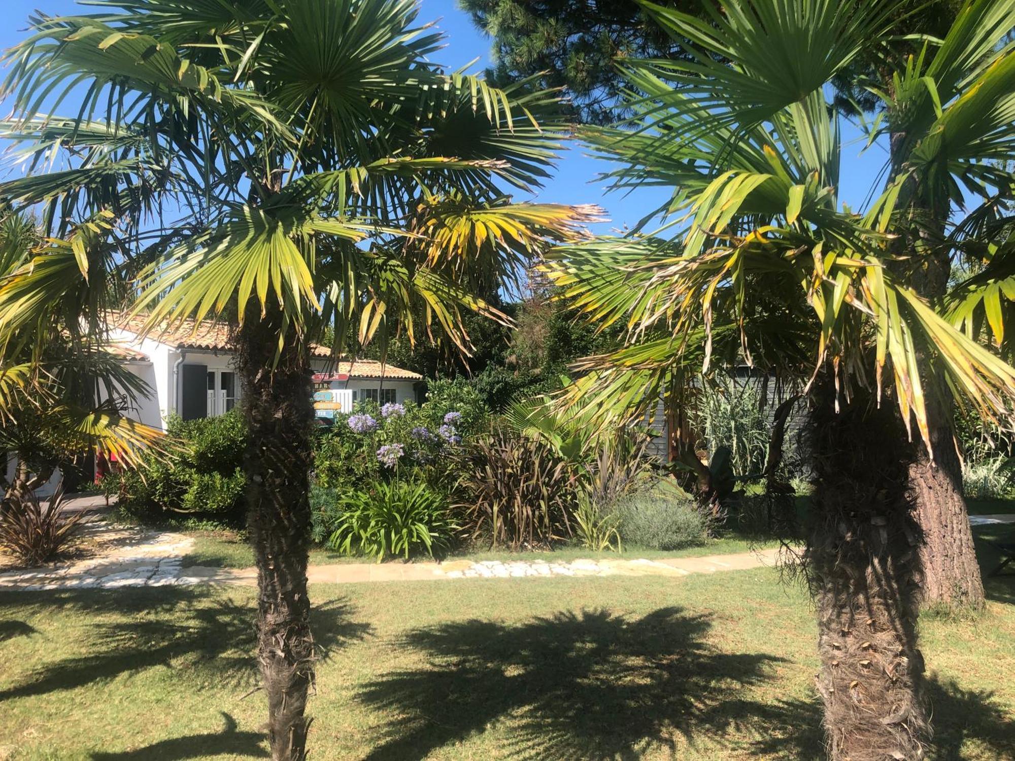 Le Jardin Des Portes Acomodação com café da manhã Les Portes-en-Re Exterior foto